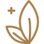 holistic healer icon 9 4